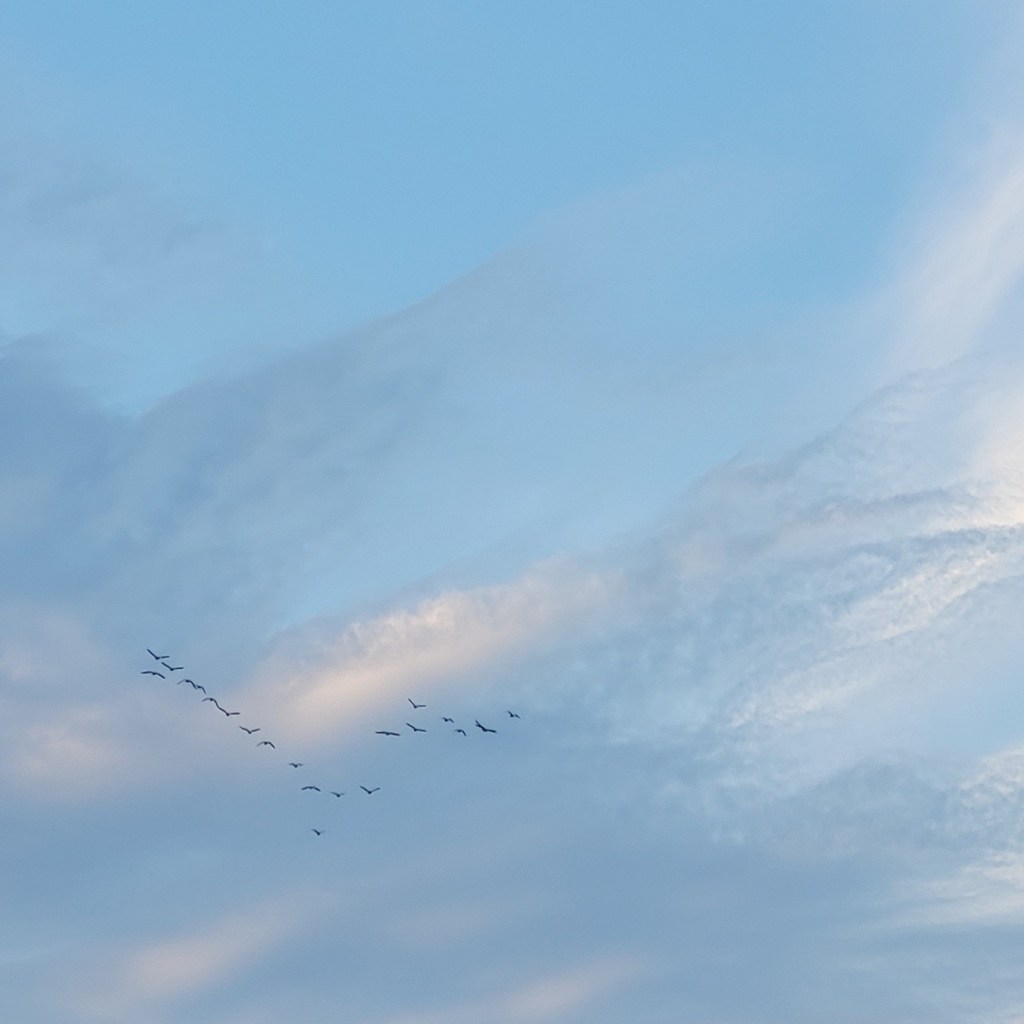 SEHNSUCHT | PART&nbsp;5