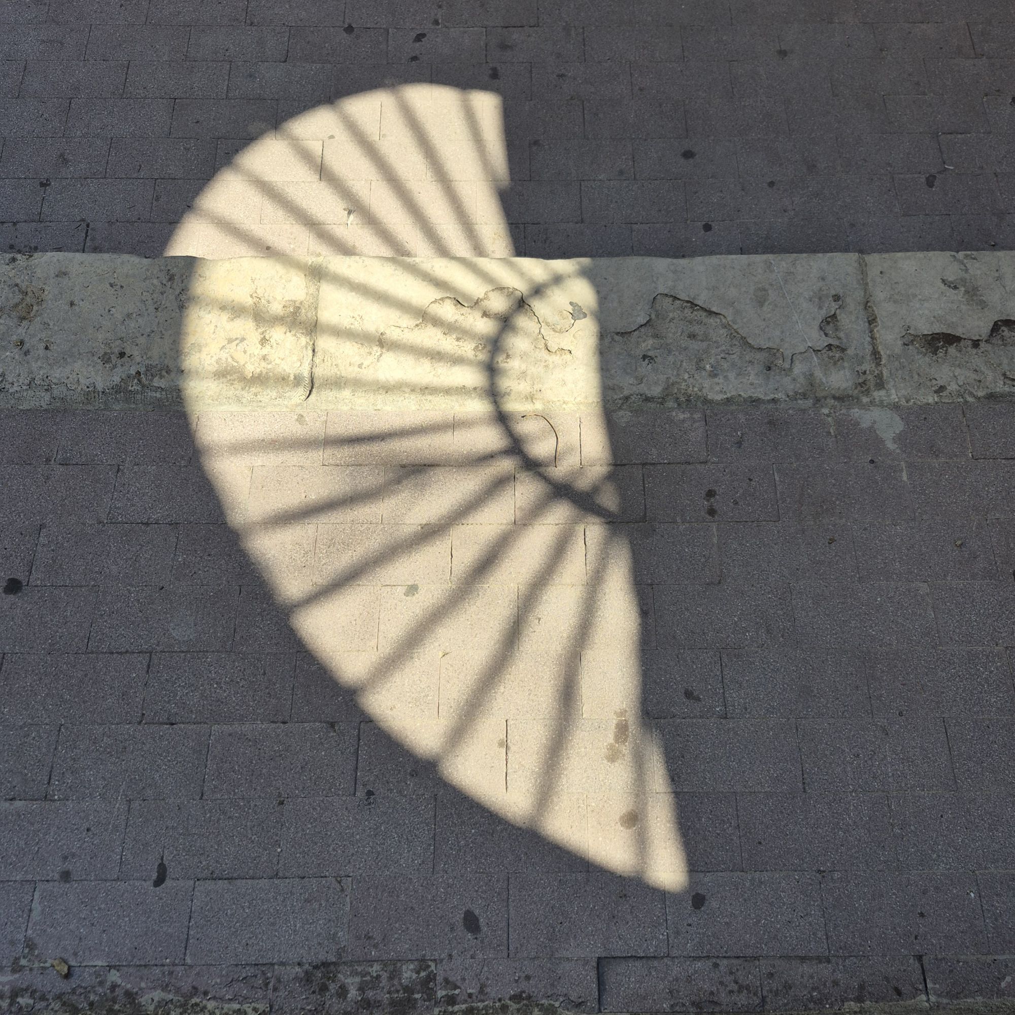 Lichteinfall in Form eines Flügels in einer ansonsten im Schatten gelegenen Fläche.