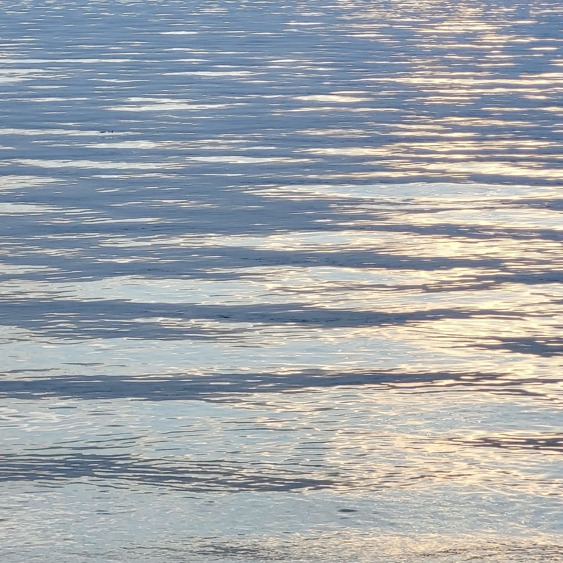 Ruhige Wasseroberfläche mit sanften Wellen und spiegelnden Lichtreflexionen.