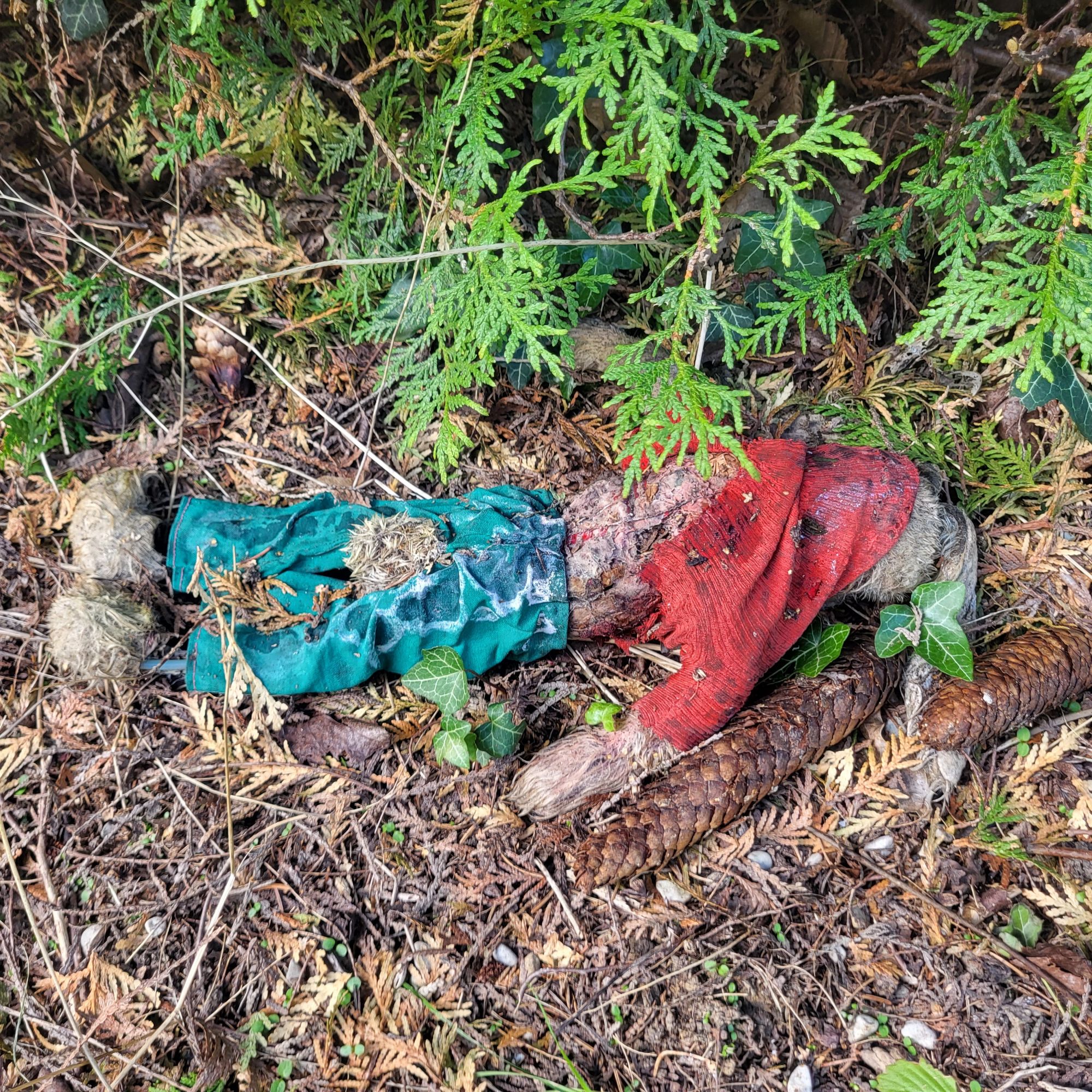 Ein verlorengegangener, verschmutzter Kuscheltierhase liegt vergessen am Boden.