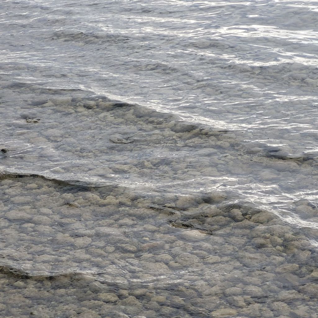 Seichte Wellenbewegung mit Blick auf die am Grund liegenden Kiesel.